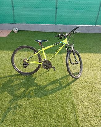 bicicletta 