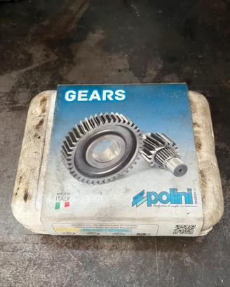 rapporti primari polini piaggio