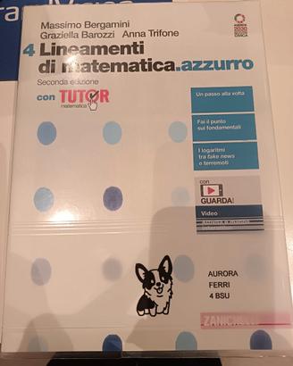 Libri questa allineamenti di matematica. Azzurro M