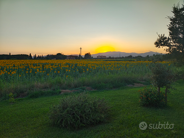Case vacanze vicino al mare di Marina di Grosseto