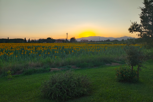 Case vacanze vicino al mare di Marina di Grosseto