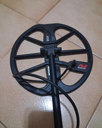 Minelab equinox 800
