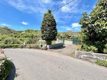 Rif.DB15| terreno agricolo mascali