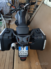 Vendita Moto Guzzi V85 anno 2020