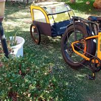 Trasportino per Bici