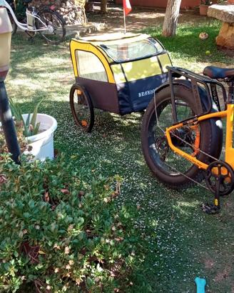 Trasportino per Bici