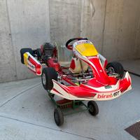 Easykart 125cc - Birel Art