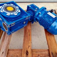 Motore con doppio riduttore - Diametro albero 35mm