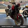 triumph-trident-800-carnival-red-abs