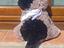 Immagine 4