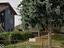 Immagine 19