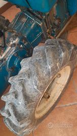 giardino e fai da te