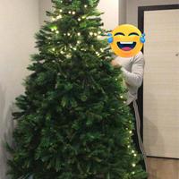 Albero di natale grande e folto