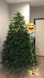 Albero di natale grande e folto