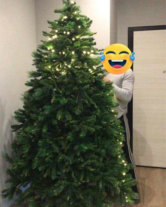 Albero di natale grande e folto
