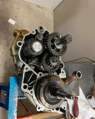 Cambio trial beta 250