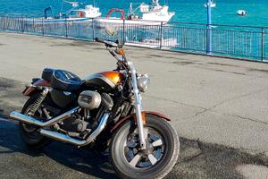 Harley Davidson Sportster 1200 custom - leggi bene
