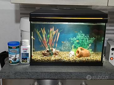 ACQUARIO ACQUA DOLCE  COMPLETO 