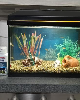 ACQUARIO ACQUA DOLCE  COMPLETO 
