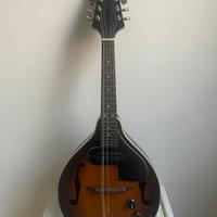 Mandolino elettrico Aria