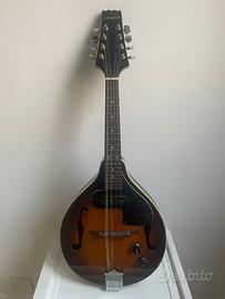Mandolino elettrico Aria
