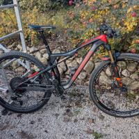 MTB OIZ M10 X01 TG.M USATA 