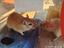 Immagine 3