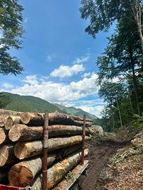 Legna da ardere