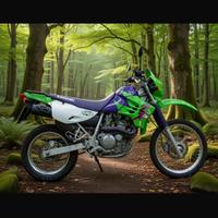 Kawasaki Klr 650