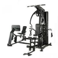 Palestra multifunzionale MSX-300