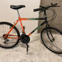 Bicicletta