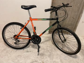 Bicicletta
