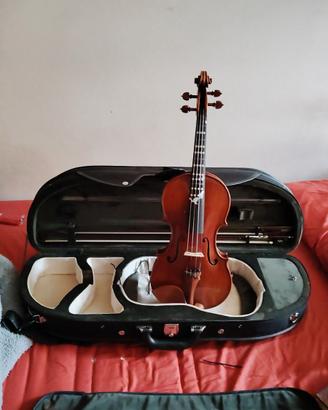 violino