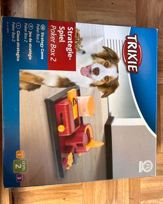 Gioco cani