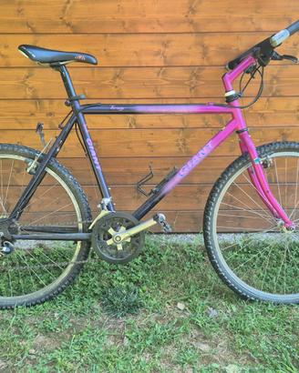 Mountain bike Giant Terrago