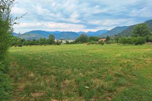 Terreno agricolo per impianto Agri/Fotovoltaico