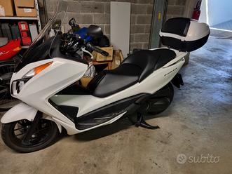 Honda usata in vendita in Piemonte