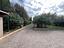 Immagine 19