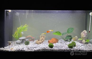 Acquario Mondolife con mobile e accessori