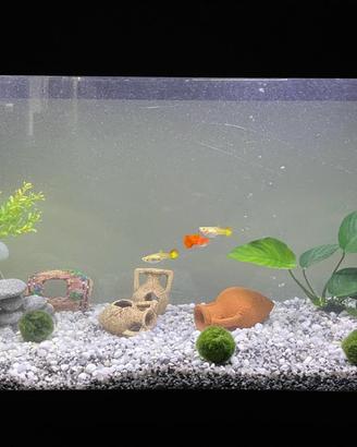 Acquario Mondolife con mobile e accessori