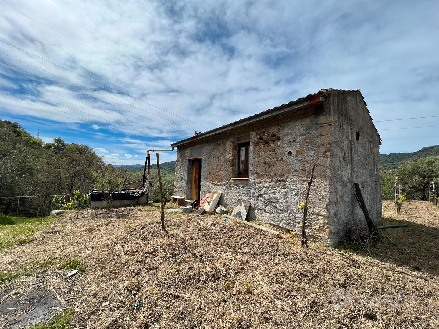 Vigneto con casolare e alberi da frutto - Vista 4