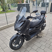 Xmax iron max 300