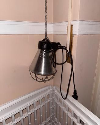Lampada riscaldante a infrarossi animali