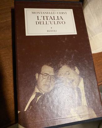L’Italia dell’ulivo