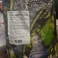 Mangime per pappagalli miscela agapornis bonora