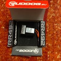 Ricevente ruddog/sanwa