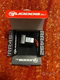 Ricevente ruddog/sanwa