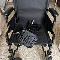Sedia a rotelle