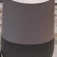 google home 