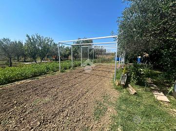 TER. AGRICOLO A PESARO